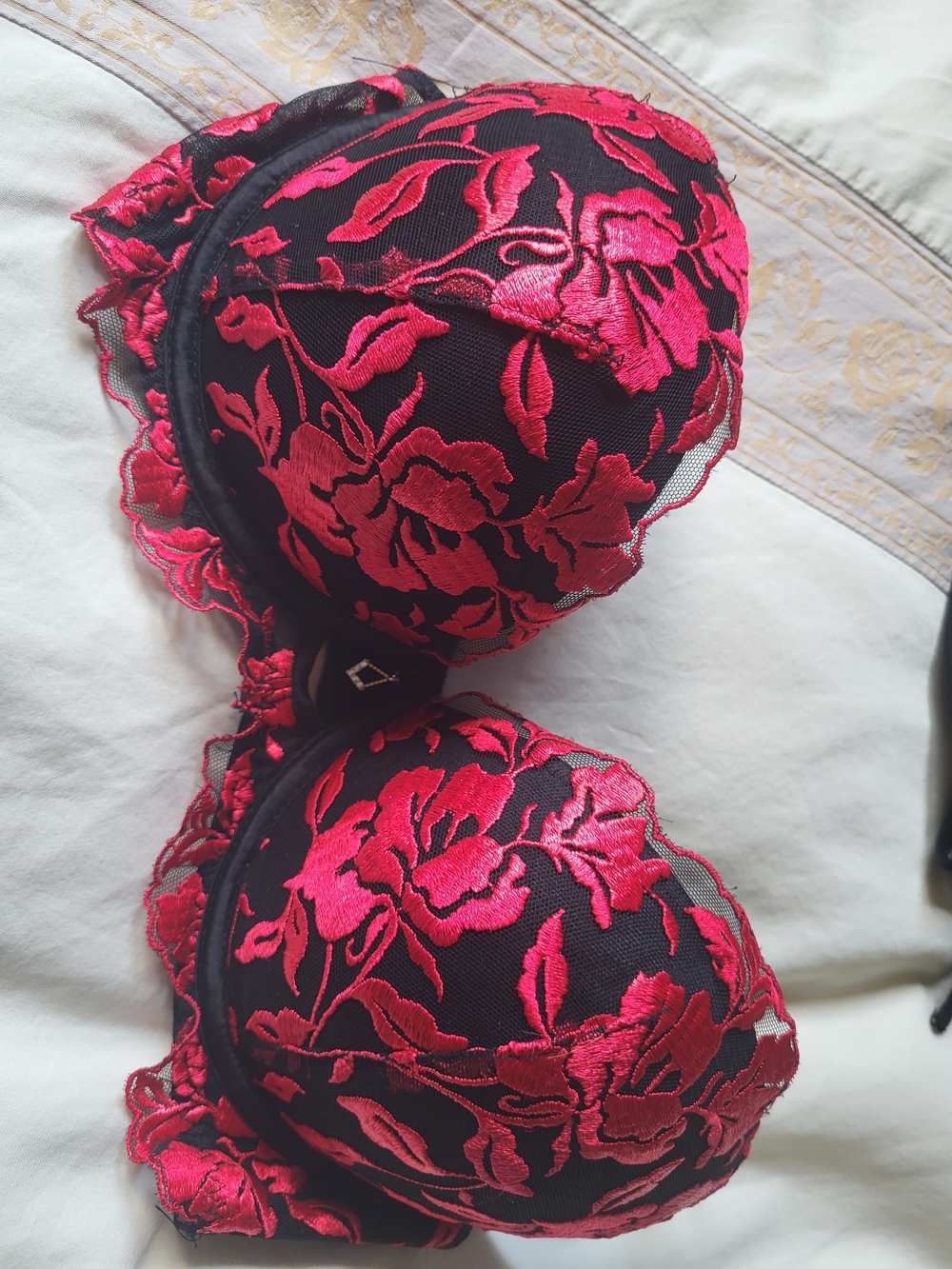 Black & Red Floral Lace Push-Up Bra